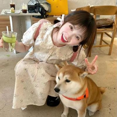 杀手·蝴蝶·梦